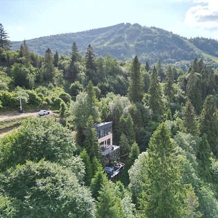 Forest Hub Slavske Luaran gambar