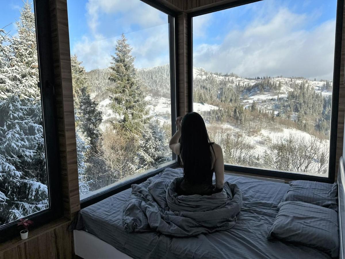 Forest Hub Slavske Luaran gambar
