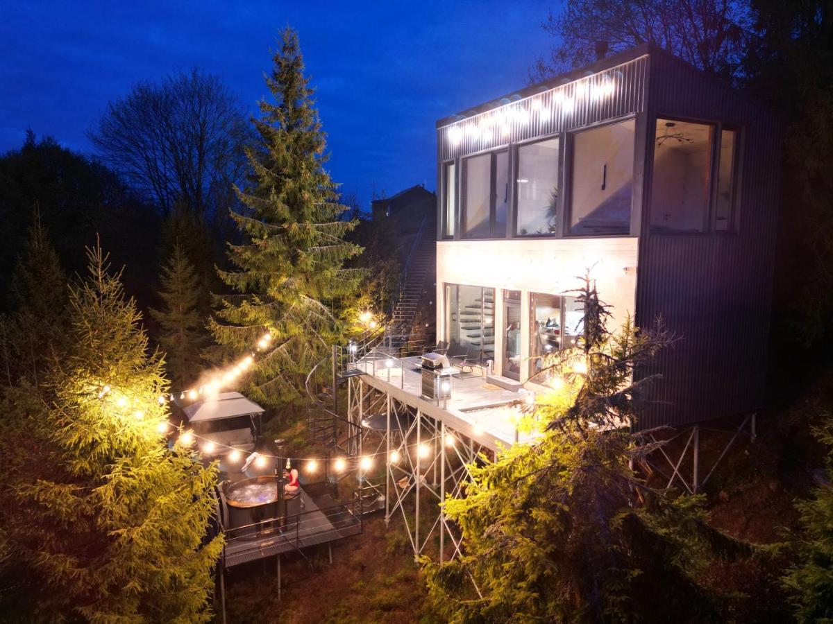 Forest Hub Slavske Luaran gambar