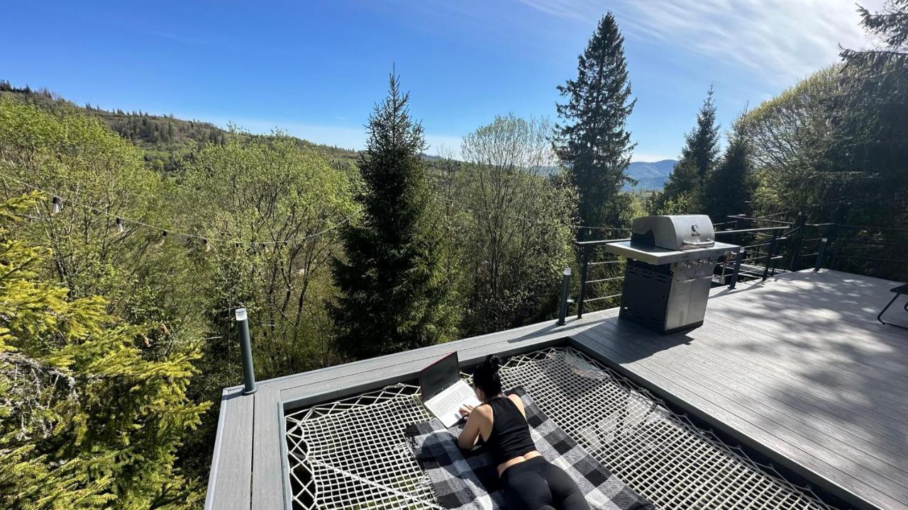 Forest Hub Slavske Luaran gambar