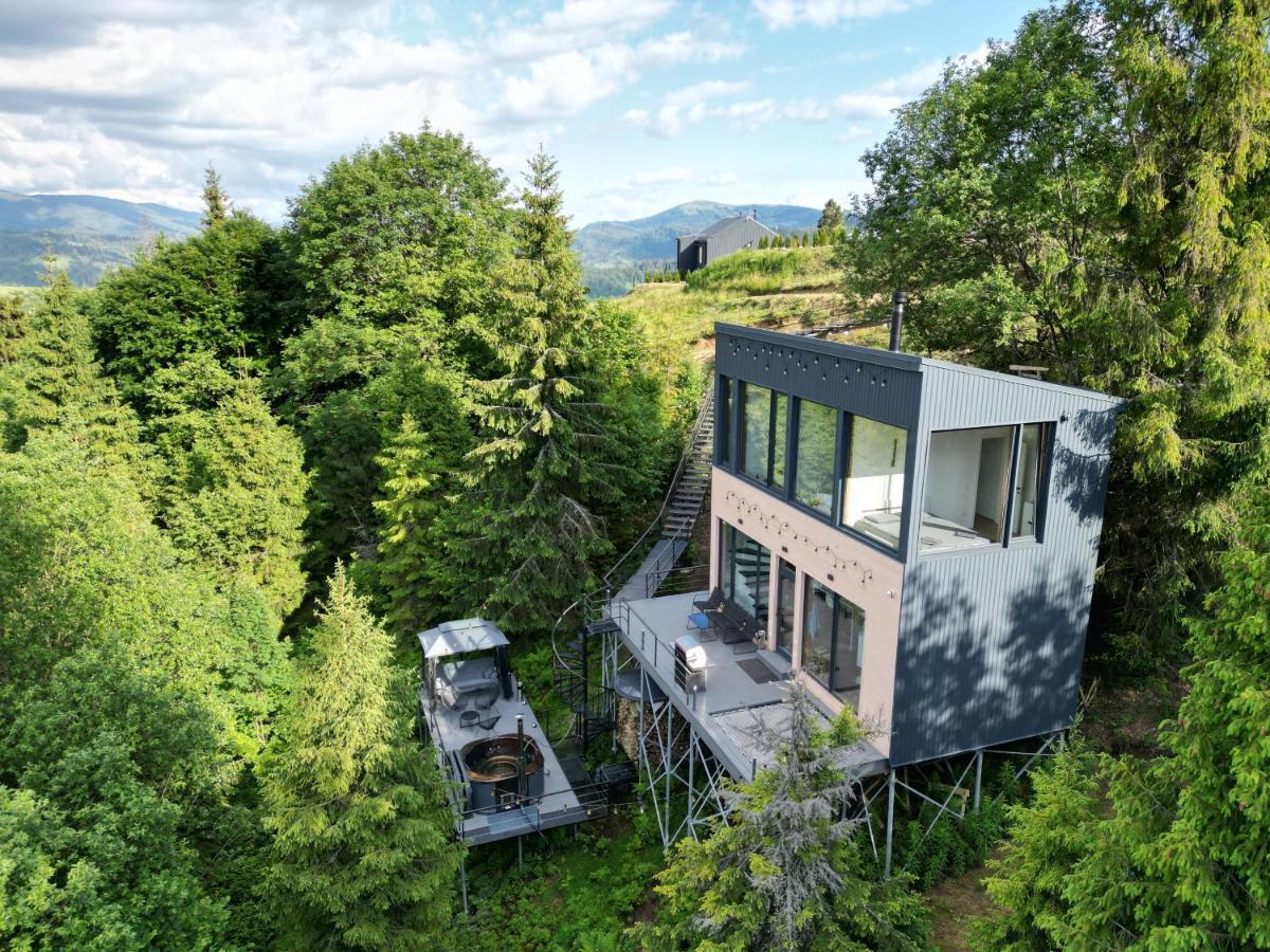 Forest Hub Slavske Luaran gambar
