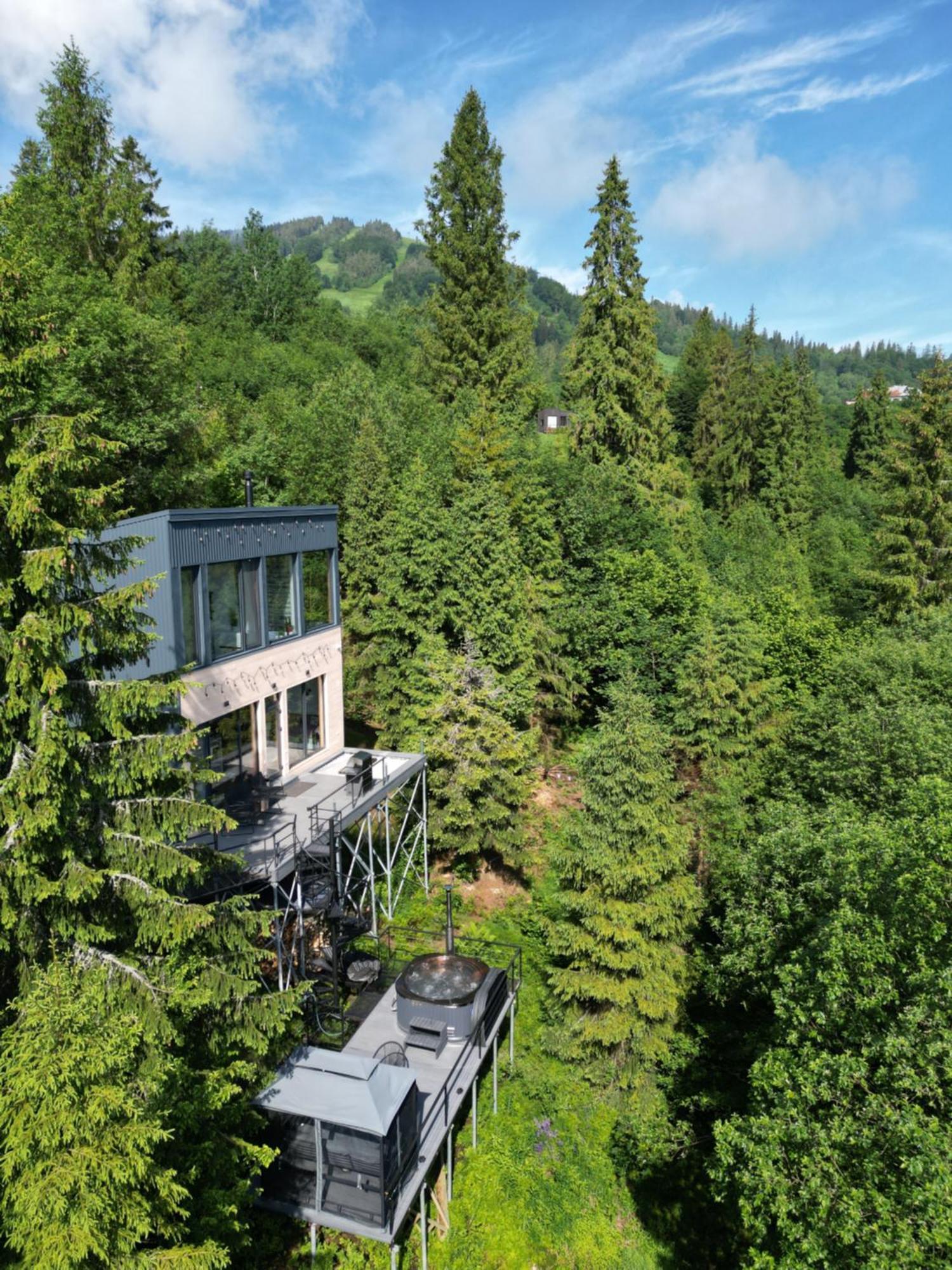 Forest Hub Slavske Luaran gambar