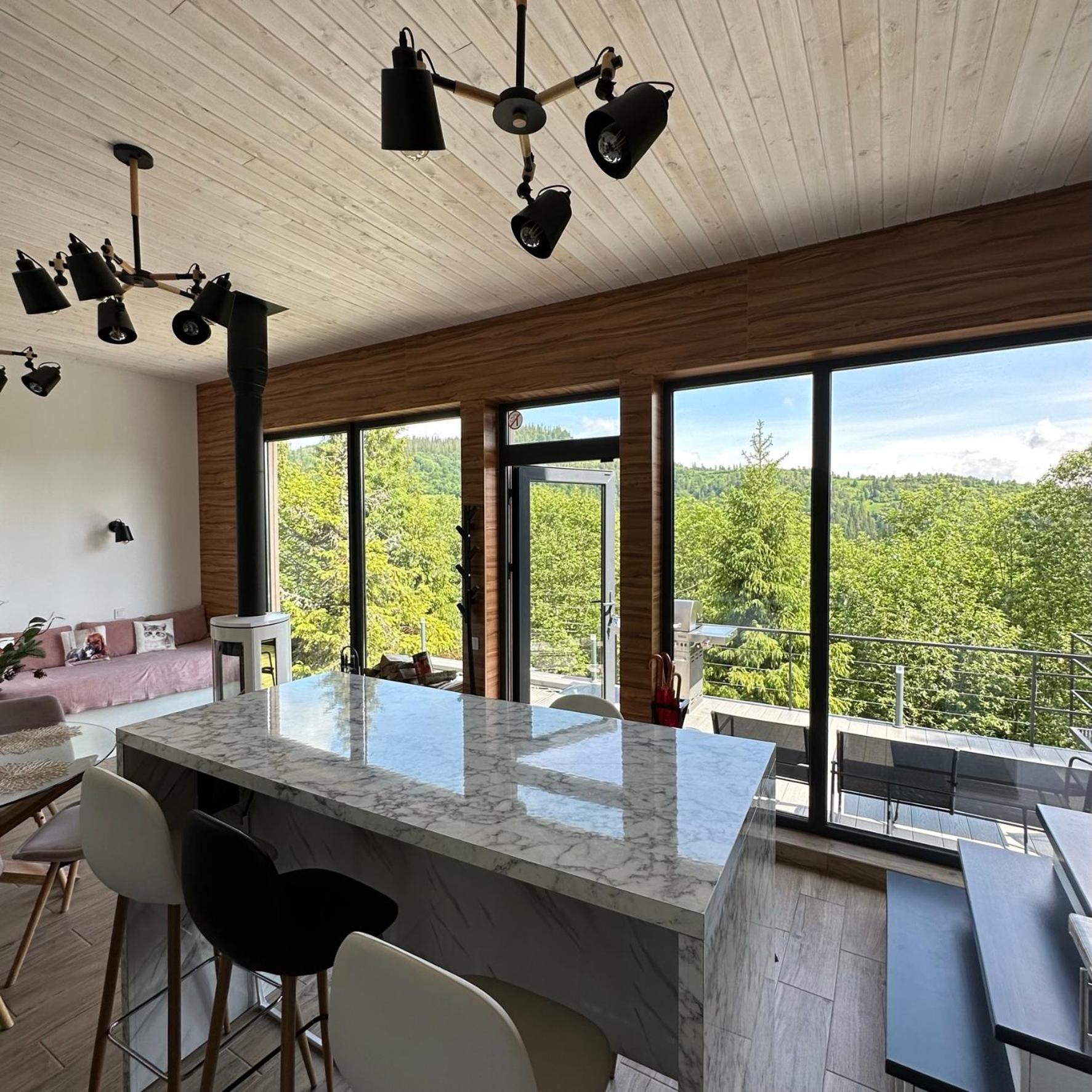 Forest Hub Slavske Luaran gambar