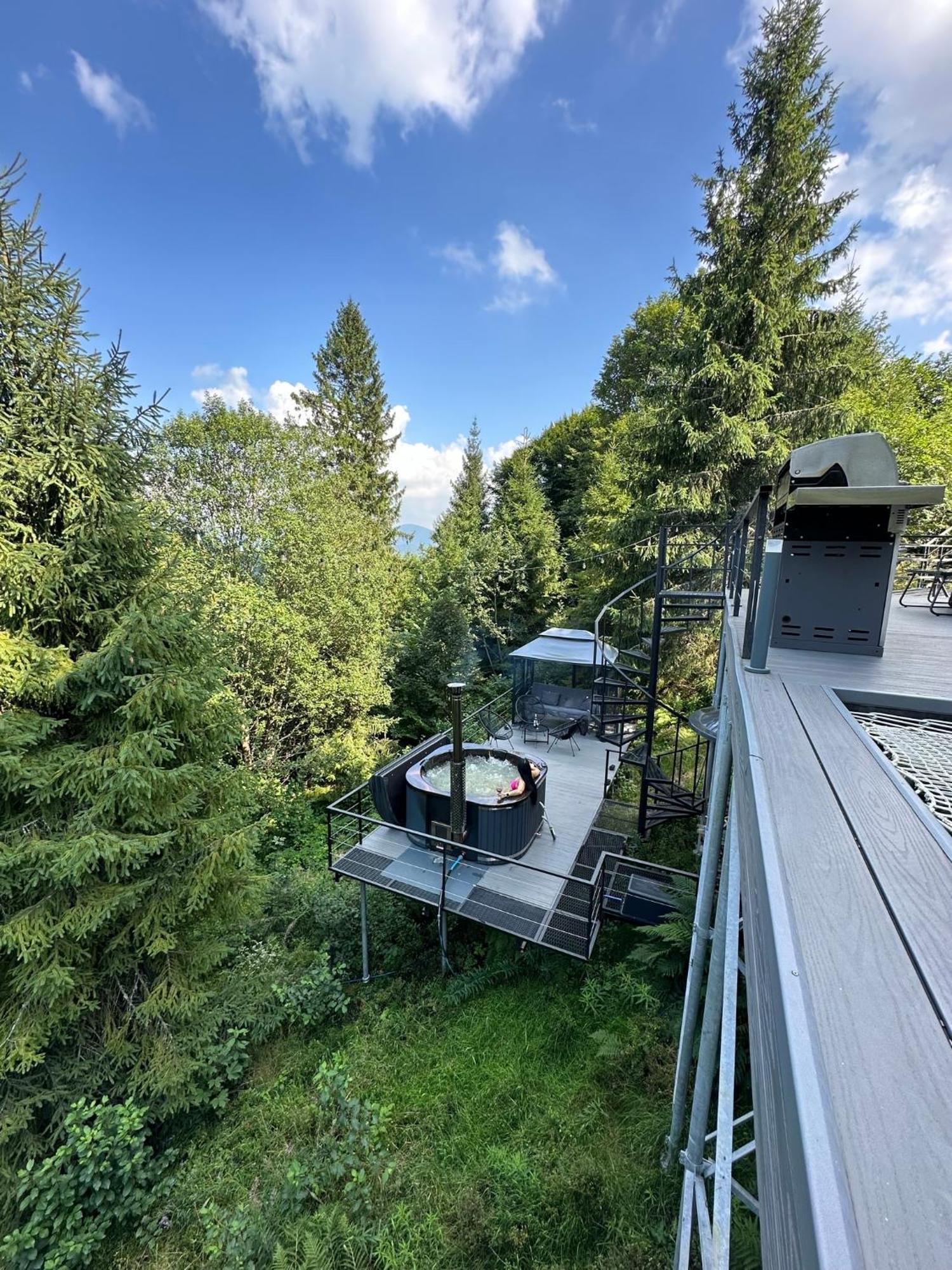 Forest Hub Slavske Luaran gambar