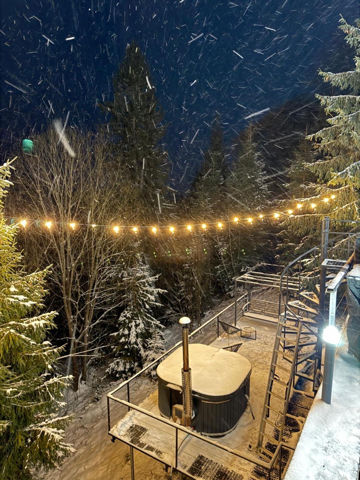 Forest Hub Slavske Luaran gambar