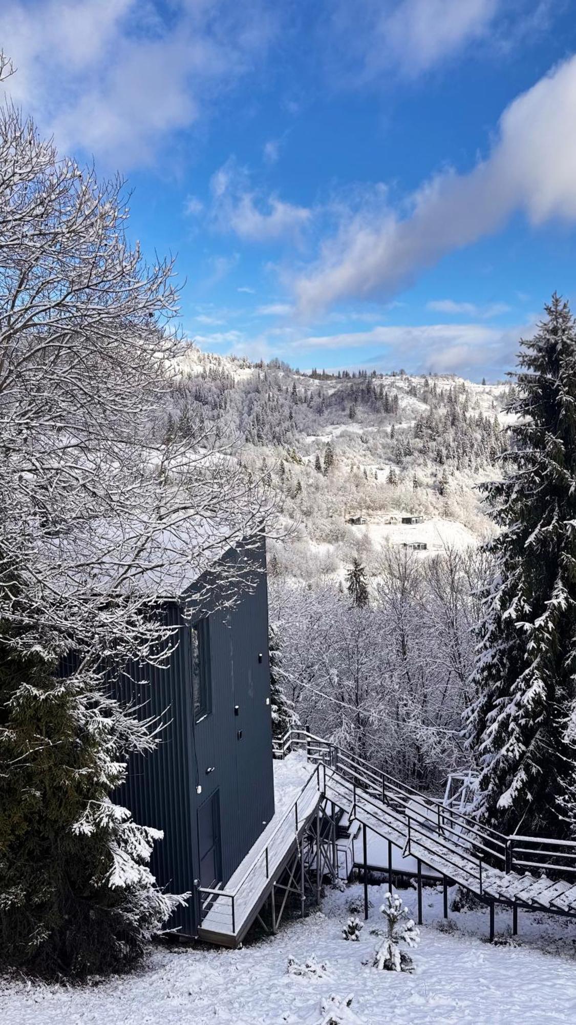 Forest Hub Slavske Luaran gambar