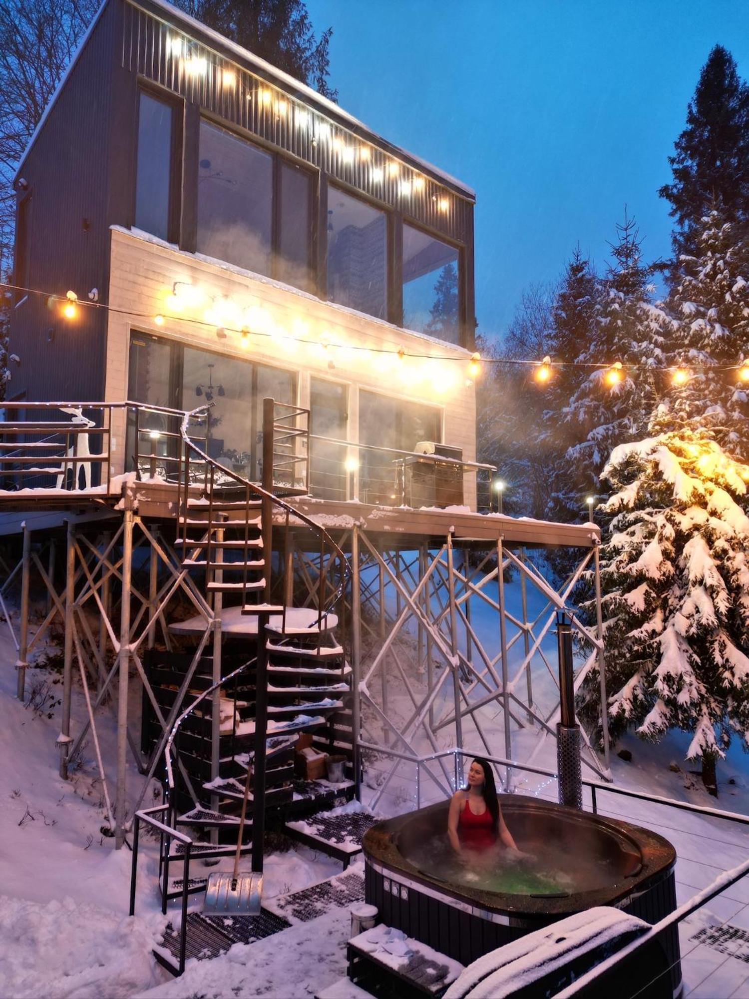 Forest Hub Slavske Luaran gambar