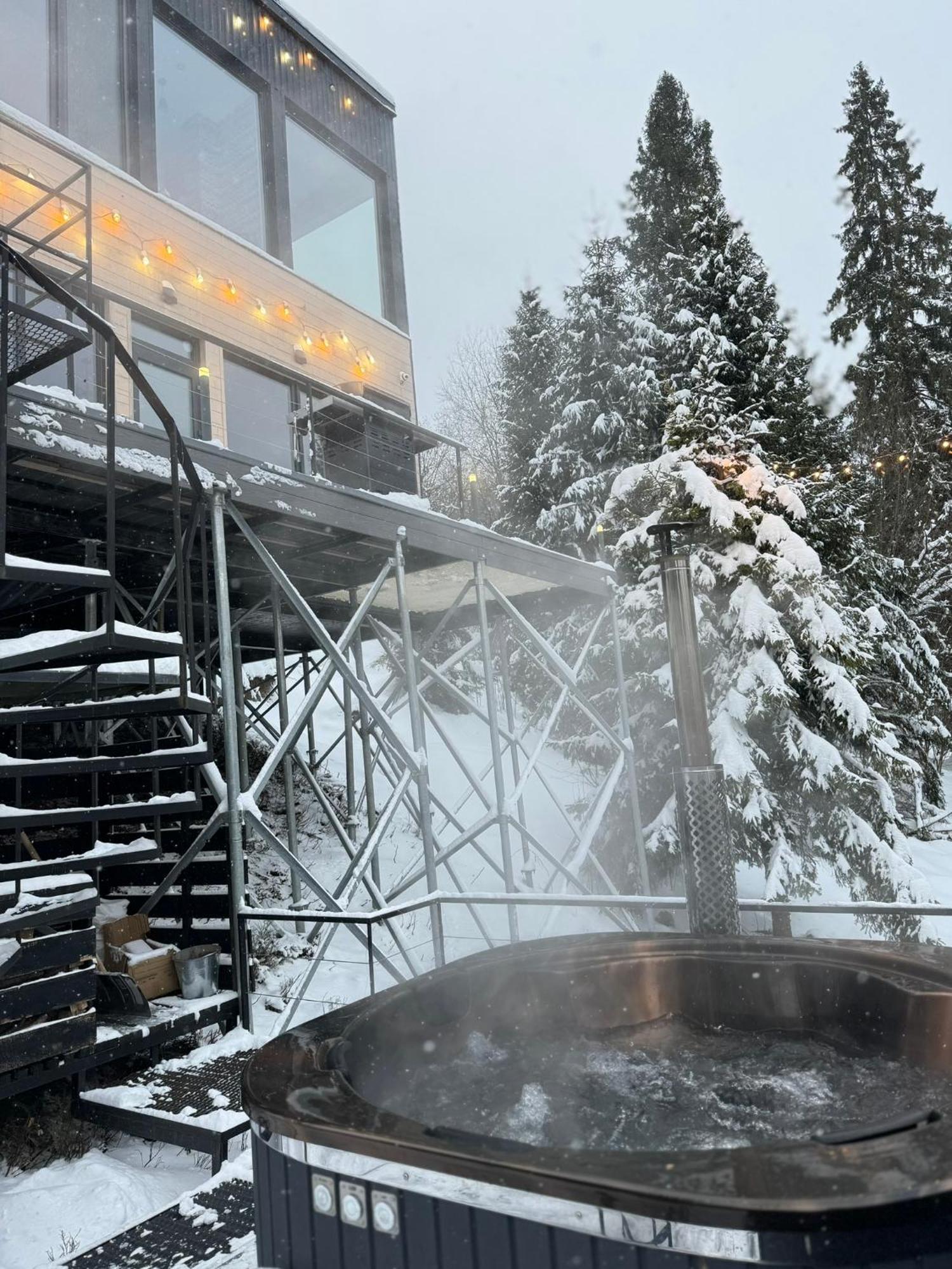 Forest Hub Slavske Luaran gambar