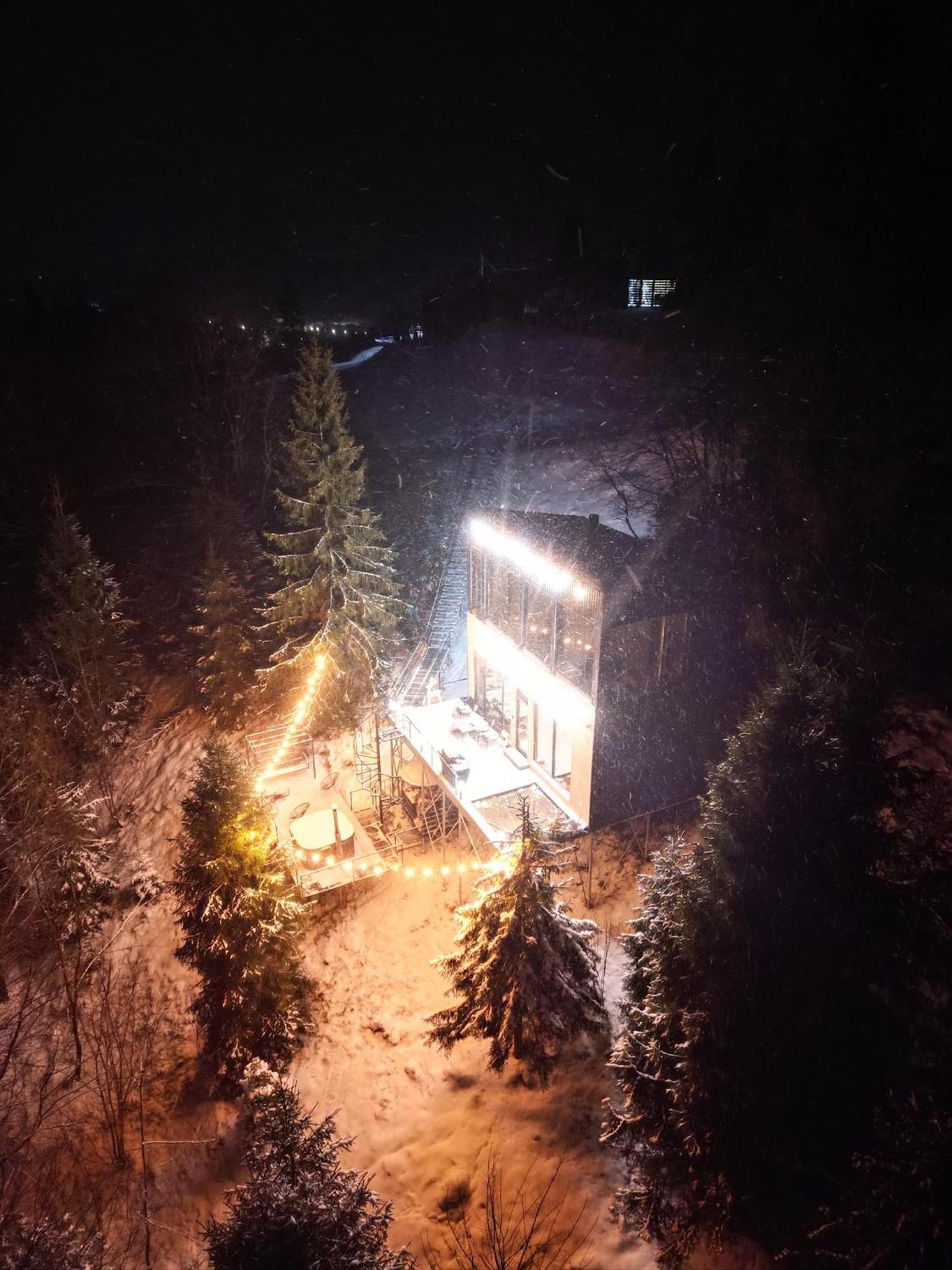 Forest Hub Slavske Luaran gambar