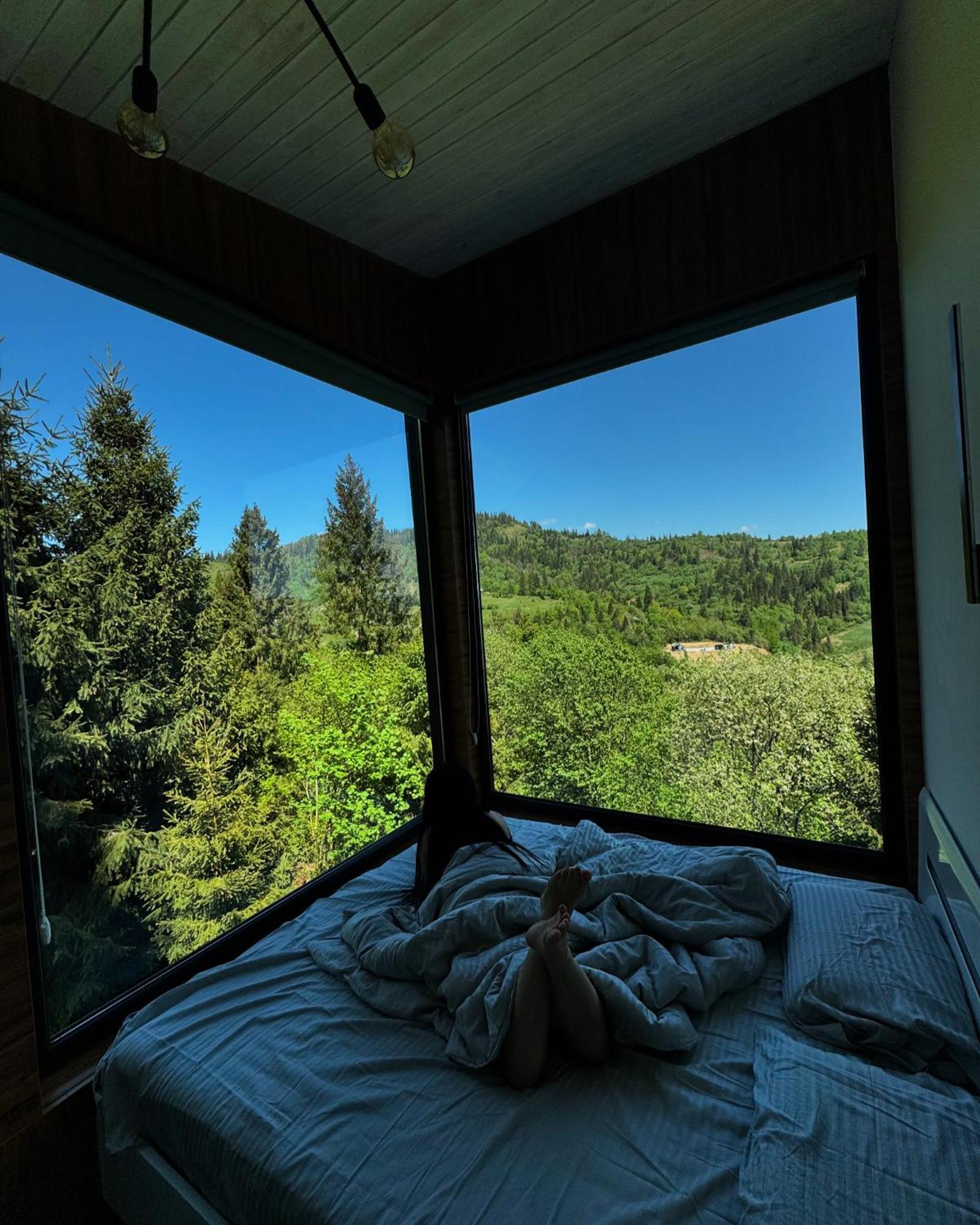 Forest Hub Slavske Luaran gambar