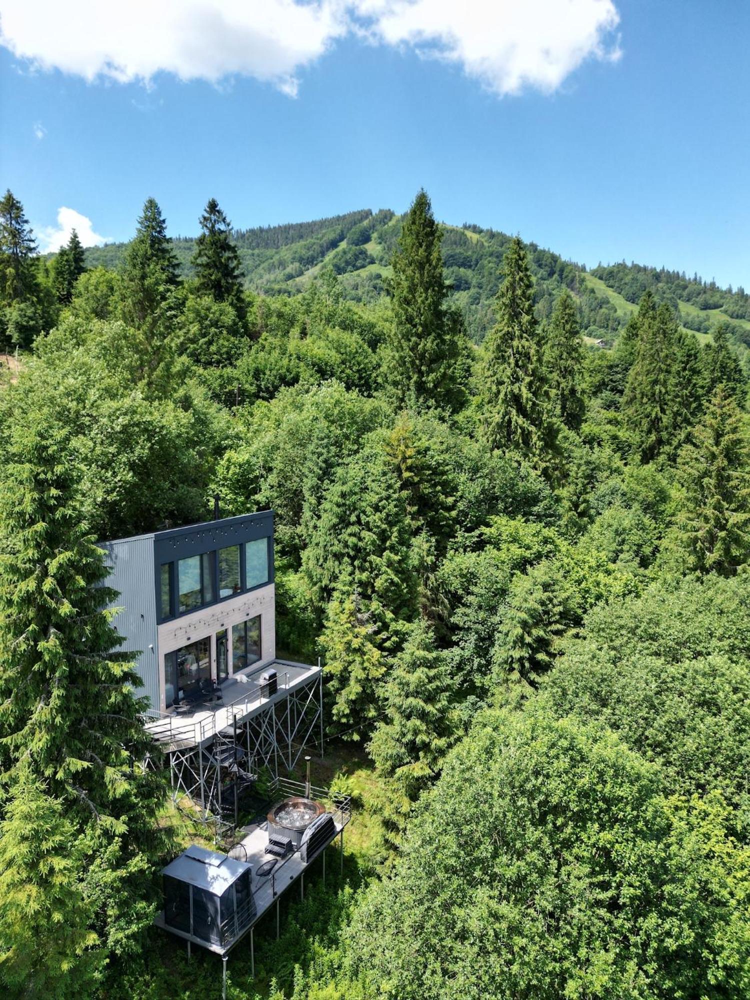 Forest Hub Slavske Luaran gambar