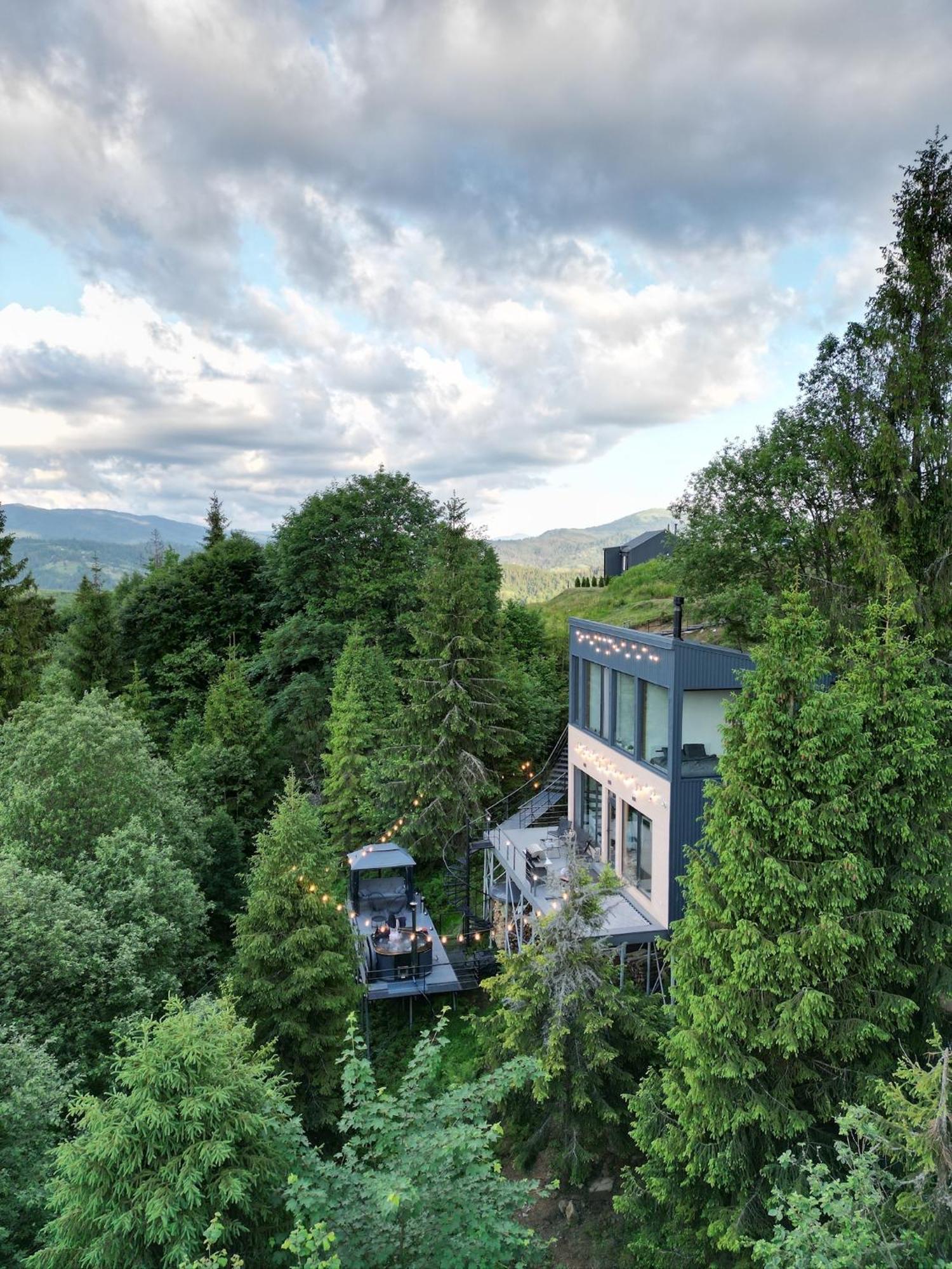 Forest Hub Slavske Luaran gambar